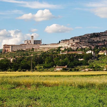 Vista Assisi Bed & Breakfast Luaran gambar
