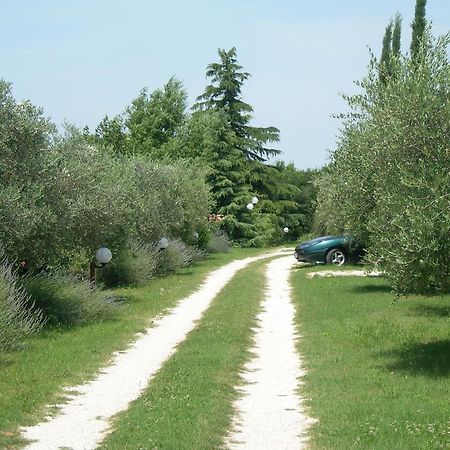Vista Assisi Bed & Breakfast Luaran gambar
