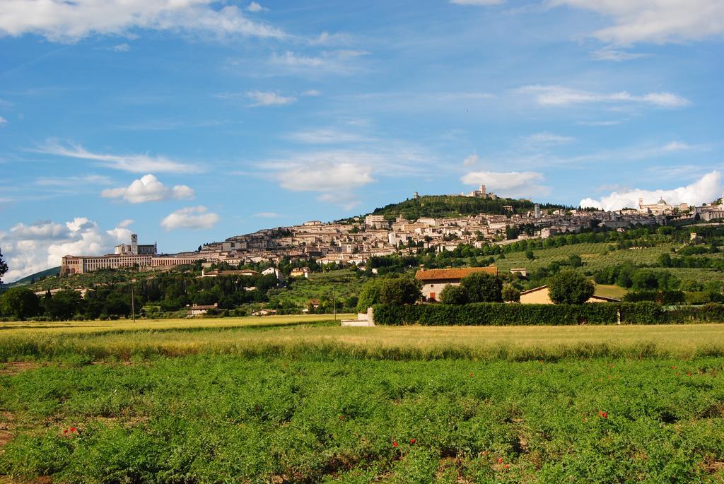 Vista Assisi Bed & Breakfast Luaran gambar