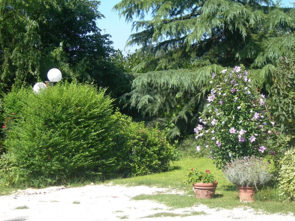 Vista Assisi Bed & Breakfast Luaran gambar