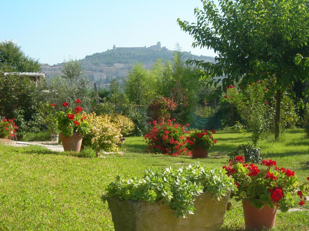 Vista Assisi Bed & Breakfast Luaran gambar